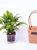 Bolsa Tote de Papel Kraft Dia das Mães 520, Caixa Tote com Flores, Materiais de Embalagem para Flores, Sacola para Planta em Vaso Pequena