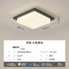 [Rigorosamente Selecionado] Lâmpada de Teto Moderna Simples e Elegante 2025 Novo Modelo Pacote de Iluminação para Toda a Casa Luz Principal Criativa para Hall