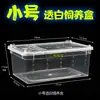 Caja de Alimentación y Escalada para Mascotas Reptiles Tanque de Acrílico Alto Transparente Gabinete Integrado Caja de Alimentación para Rana Cornuda Arbórea Tortuga Lagarto