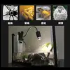 Lámpara de sol para tortugas lámpara UVA 50W UVB lámpara de calefacción para reptiles lámpara de sol para mascotas reptiles suministros para reptiles lámpara para reptiles