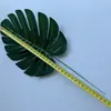 Atacado simulação planta folha de tartaruga folha brasileira folha orelha de elefante planta decoração de parede planta verde simulação de casa folhas