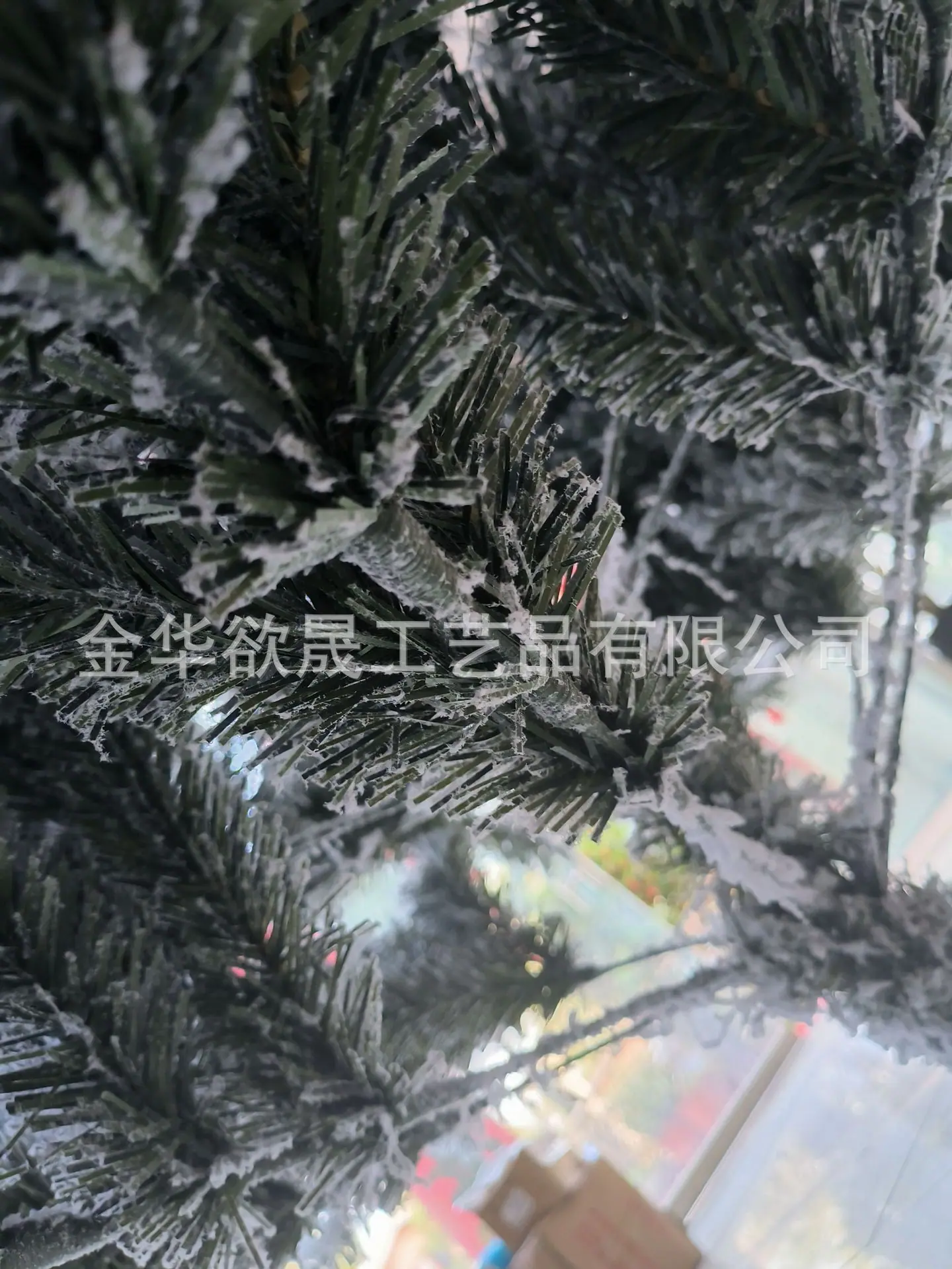 微信图片_20230403102924