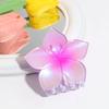 Venta Caliente Transfronteriza Moda Pequeño Fresco Combinación Perfecta Degradado Teñido Simi Flor Pinza Pinza para el Cabello de Niña Combinación Perfecta Accesorios para el Cabello