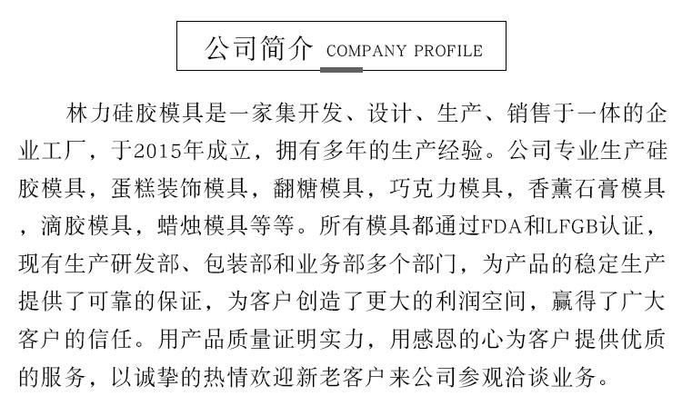 公司简介2.jpg