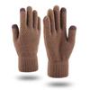 Invierno Nuevo Transfronterizo Exterior Tejido Patrón Piña Guantes de Terciopelo Antideslizantes de Lana Cálidos para Pantalla Táctil para Hombre