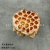 Flor artificial de hoja dorada, flor de plástico, arreglo floral para decoración de bodas, material para cubo de Año Nuevo, flor de Año Nuevo con borde cruzado