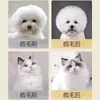 Peine para mascotas, cepillo para pelo de mascotas, cepillo especial para pelo de mascotas, peine de aguja con cojín de aire para perros y gatos, herramienta mágica esponjosa para perros Teddy y Bichón