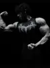 Breathedivinity2025 Nuevo Chaleco de Secado Rápido Deportivo Venom Ajustado Fitness Entrenamiento Muscular Ropa de Verano