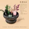 Adorno original de planta en maceta con piedra en bruto de cristal natural para escritorio de hogar y oficina, micro paisajismo. Venta al por mayor de adornos de cristal
