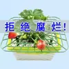 Suporte de Planteira para Morango em Vaso de Varanda Fruta Planta Verde Bandeja Suporte Estrutura de Suporte de Emenda Fixa Anti-Corrosão para Jardinagem