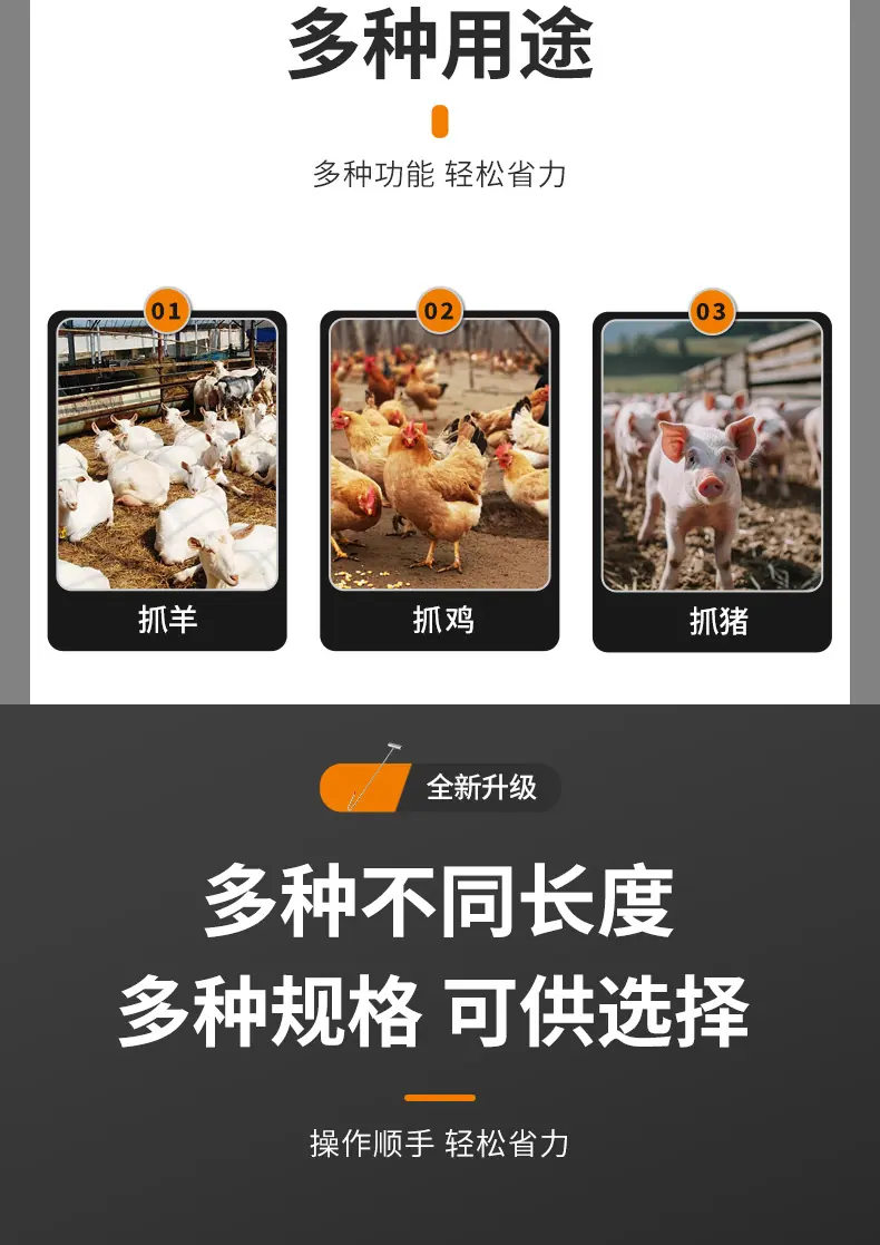 详情_07.jpg