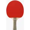 Raquete de Ping Pong de Madeira com Espuma