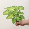 Plantas Verdes Simuladas Folhas de Jiboia Folhas de Casco de Tartaruga Paisagismo de Micro Paisagem Inseridas no Solo Folhas de Lótus de Guanyin Decoração de Casa Plantas em Vasos Plantas Artificiais