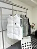Colete Cápsula Canada Goose Estilo Igual ao de Zhao Lusi Versátil Quente Moda Elegante 2025 Outono e Inverno Novo Produto Putian