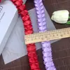 Accesorios de Cinta de Encaje de Poliéster de Alta Gama de 2.5cm Materiales para Accesorios de Joyería Hechos a Mano DIY para Ropa Falda
