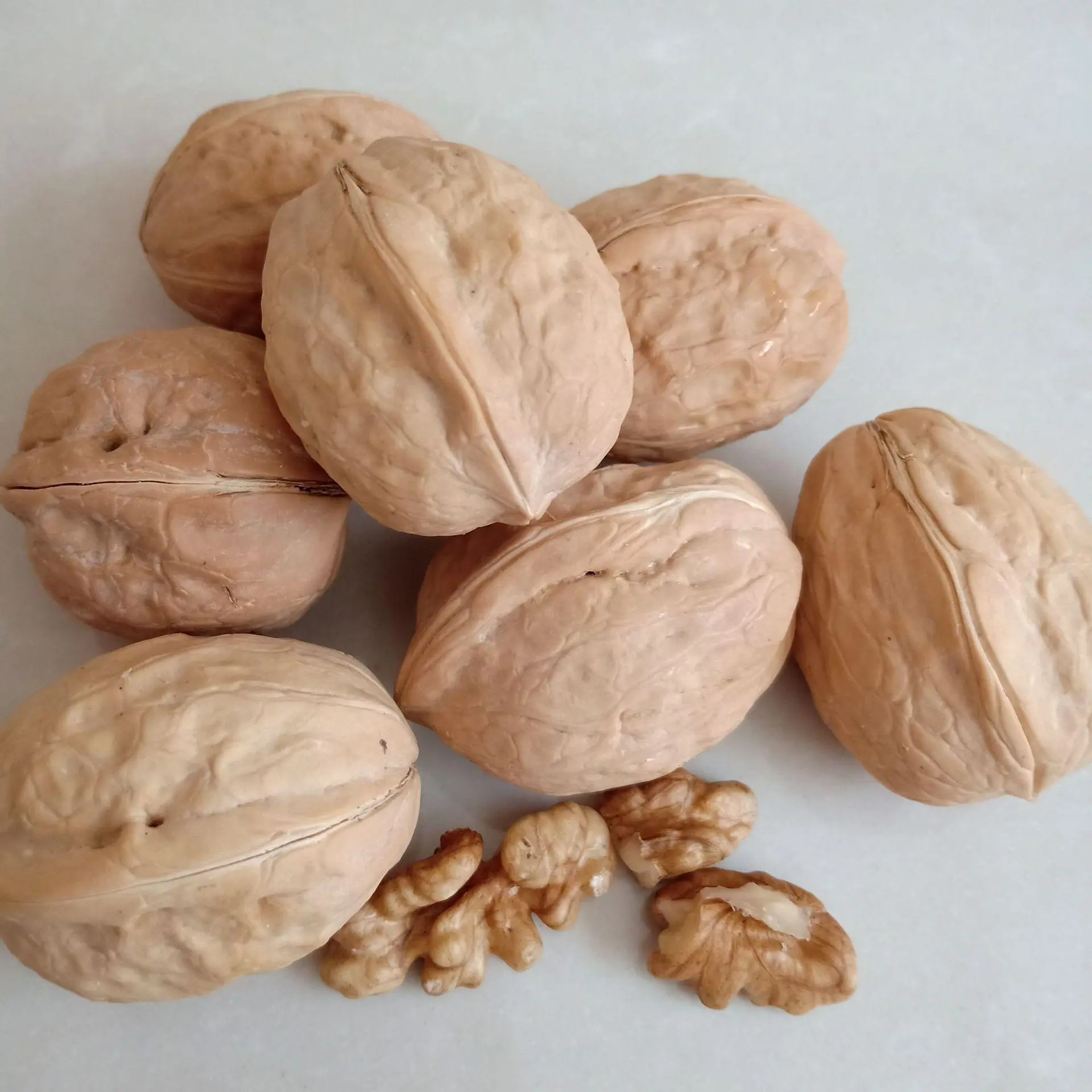 微信图片_20181219095109