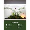 Planta Verde Simulada Paisajismo Helecho Cabeza de Mono Seda Dorada De Pie Planta Biónica China Decoraciones de Paisaje Interior Adornos Plantas Falsas en Maceta