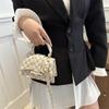 Bolso de mujer de moda Primavera 2024, nuevo, informal, personalizado, sencillo, de color sólido, pequeño, cuadrado, hermoso, cruzado, de un solo hombro.