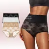 2026 Nueva Ropa Interior de Encaje Jacquard de Cintura Alta para Mujer Malla Semitransparente Ligera Bragas Sin Costuras Suministro Transfronterizo para Mujer