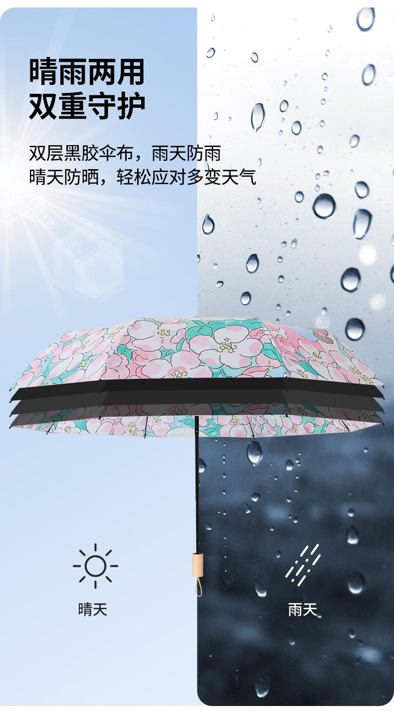 双层黑胶数码_11.jpg