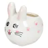 Vaso de cerâmica criativo com animal de desenho animado para planta suculenta, simples, moderno, para jardinagem, combinação fofa de coelho, planta em vaso mini