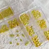 Decoraciones para Uñas de Arte de Uñas Nuevas Transfronterizas Conchas Doradas y Plateadas Perlas de Caracola Estrella de Mar Remaches Mixtos de 6 Compartimentos Accesorios para Uñas Venta al por Mayor