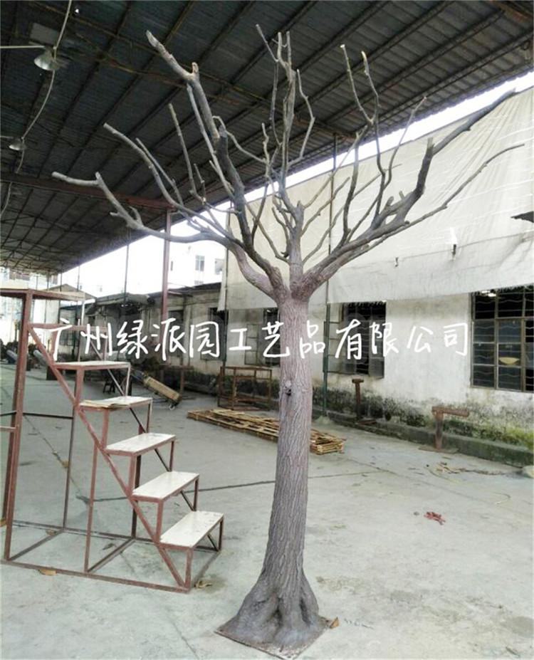 枯树100133.jpg