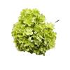 Nuevo ramo de hortensias francesas de cinco cabezas con púas, boda, simulación floral, flor artificial, venta al por mayor, diseño de auditorio de bodas, comercio exterior, transfronterizo