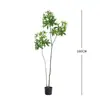 Planta Verde Artificial Grande Nórdica Árvore da Fortuna Decoração de Chão para Entrada de Casa Interior Paisagismo Planta Falsa em Vaso Personalização
