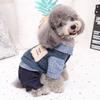 Roupas para Filhotes de Estimação Outono e Inverno Pomerie Urso Cão Pequeno Teddy Filhote de Quatro Patas Casual Engrossado Quente