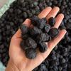 Nuevo Stock de Ciruela Negra al por Mayor, Ciruela Negra Seca de 500g, Carne de Ciruela Negra al por Mayor, Materia Prima para Sopa de Ciruela Ácida, Medicina Herbal China de Ciruela Negra, Té de Flores