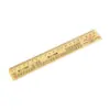 Regla Multifuncional de 20 cm para Estudiantes de Primaria con Escalas Integradas de Lenguaje, Matemáticas e Inglés, y Regla de Símbolos Fonéticos en Inglés