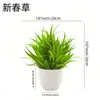 Comércio Exterior Transfronteiriço Atacado Planta Verde Simulada em Vaso Enfeites para Sala de Estar Planta Verde Eucalipto Artificial Simulado Flor Falsa Pequeno Bonsai