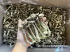 Hongos de Astas de Ciervo Secos 5kg Productos Agrícolas Wholesale Hongos 500g Varias Especificaciones Delicias de Montaña Hongos Comestibles Suministro Directo del Fabricante