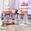 Vaso de Vidro Atacado Flores Frescas Simples Flores Secas Flores em Vasos Rosas Enfeites de Sala de Estar Decoração Ins Pequeno Vaso em Relevo