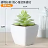Plástico Fleshy Simulador Plantas Verdes Caseiras Decoração de Mesa Pequenos Enfeites Vasos Combinação de Flores Artificiais Vasos Adereços para Fotos