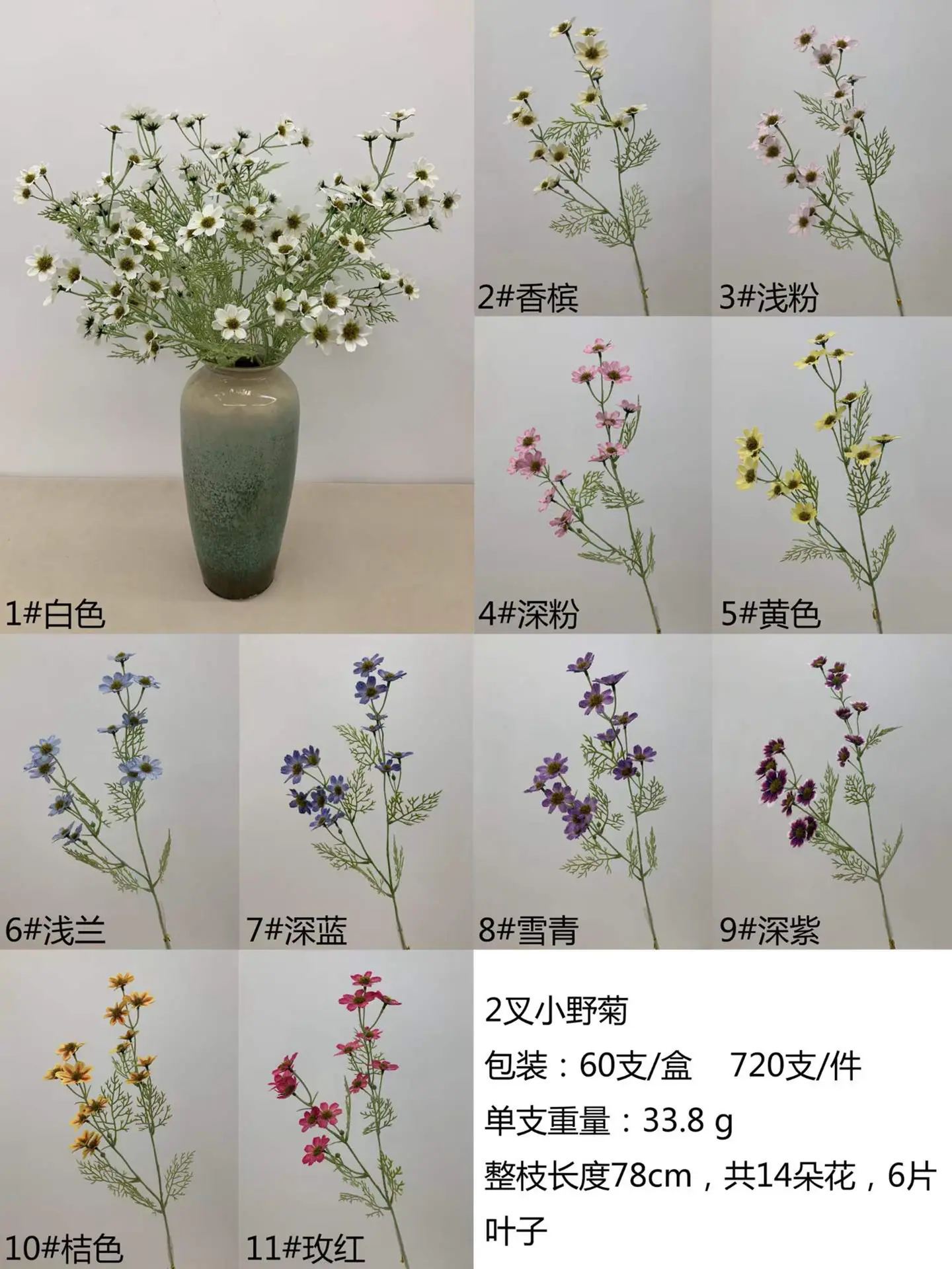 色卡2.jpg