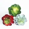 Simulación planta suculenta súper grande tamaño pequeño suculenta bonsái planta verde flor de plástico en maceta micro paisaje con pared vegetal