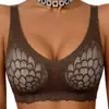 Comercio Exterior Transfronterizo Europeo y Americano Temu Shein Amazon Más Vendido Sujetador Push-Up Talla Grande Encaje Ropa Interior para Mujer