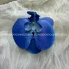 Cabeça de Flor de Orquídea Phalaenopsis Artificial, Textura de Película Impressa em 3D, Buquê Exquisito para Decoração de Casamento e Lembrança