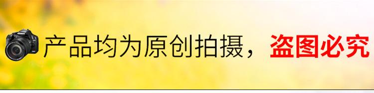 详情2-塑身连体-外模_01.jpg