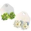Brincos de Flor com Pistilo Prateado Estilo Novo de Início de Primavera Dopamina Brincos Doces Simples da Moda Brincos de Alta Qualidade Versáteis