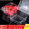 Caixa de Frutas Pet Transparente Meio Quilo Mirtilo Cereja Caixa Pequena Transparente
