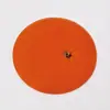 Criativo Laranja Simulação Fruta Fofo Almofada de Isolamento Térmico Porta-Copo de Isolamento Térmico Porta-Copo Ornamento de Mesa Anti-Escaldamento Acrílico Transparente