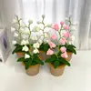 [Producto Terminado] Linterna de Campanillas de Lana Tejida a Mano Transfronteriza Flor Artificial Adornos de Escritorio Tejidos Regalos Creativos