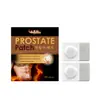 Parche de Cuidado Corporal para Hombres Fórmula Herbal Suave Nutre y Conforta la Piel del Cuerpo Parche de Cuidado Externo Diario
