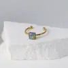 Anillo Popular Multicolor de Flores Reales Transfronterizo Amazon Acero Inoxidable Chapado en Oro Anillo de Flores Secas Joyería Manual Creativa Retro con Pegamento