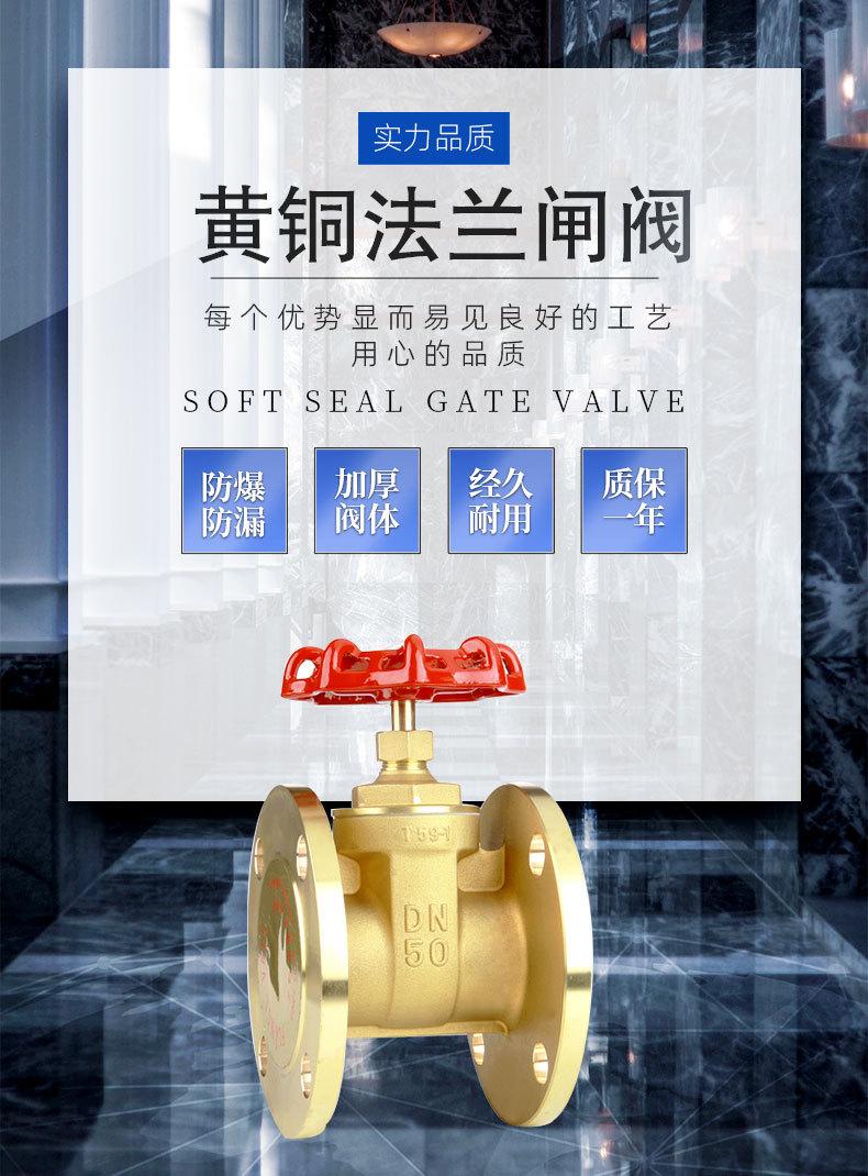 黄铜法兰闸阀_01
