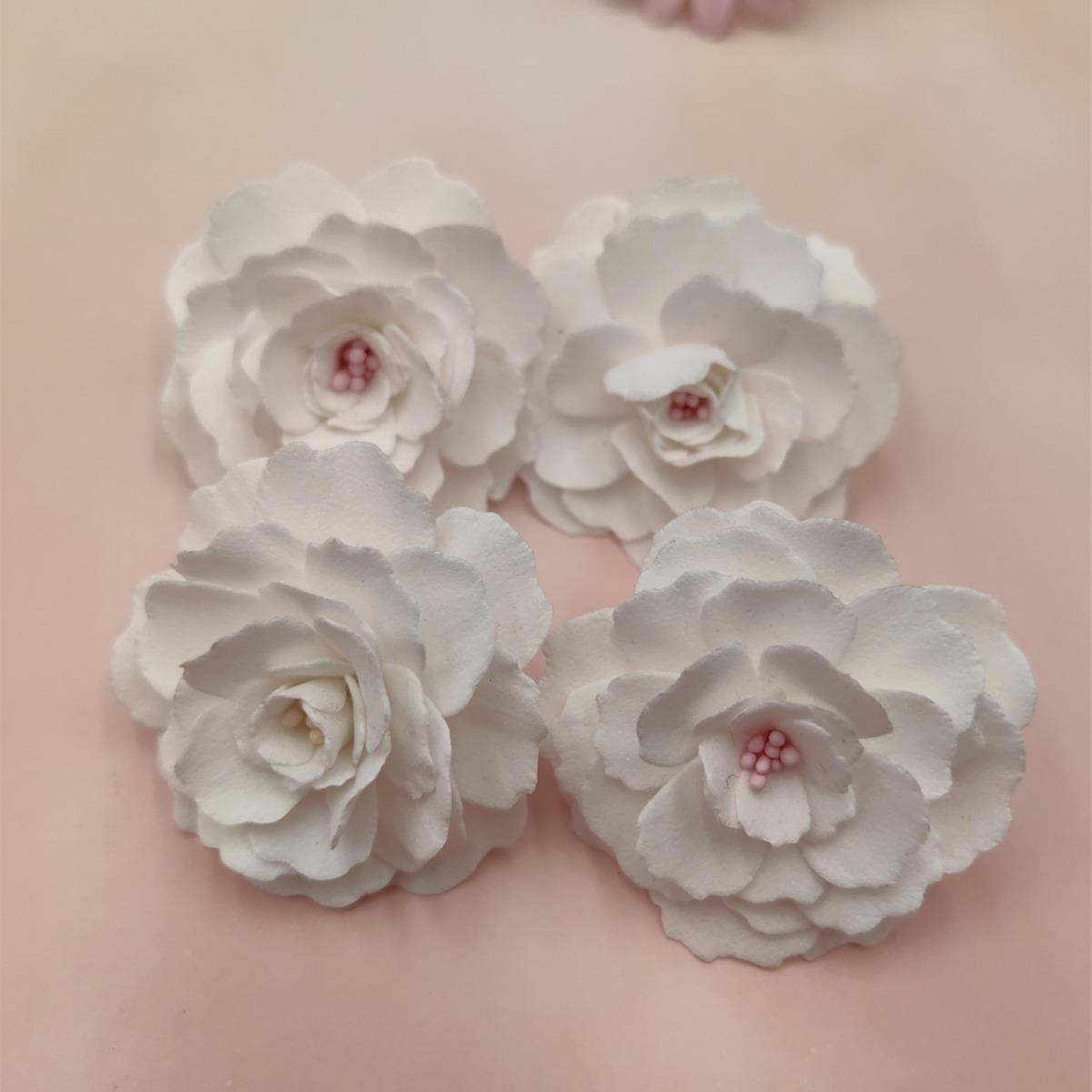 2024-06-25 11:09:29.jpg