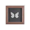 Conjunto de Presente com Espécimes de Borboletas Reais para Mulheres, Decoração 3D, Presente para Amigos, Material Didático, Porta-Retrato Simples